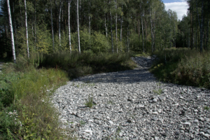 Kuivapidätysallas Pääskyvuorenrinteellä